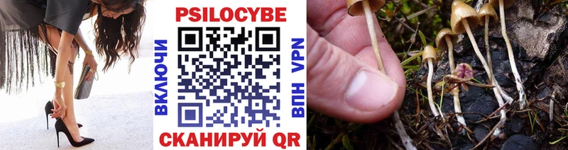 Галлюциногенные грибы Cubensis  Губкин 